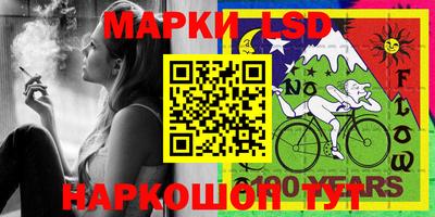 Альфа ПВП Малгобек