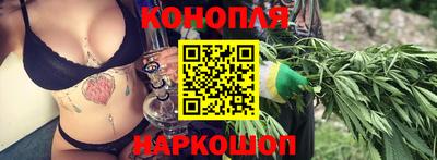 Альфа ПВП Малгобек