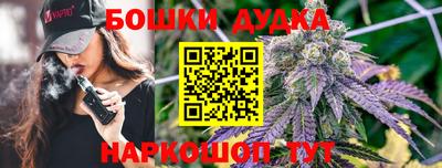 Альфа ПВП Малгобек