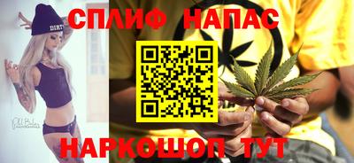 Альфа ПВП Малгобек