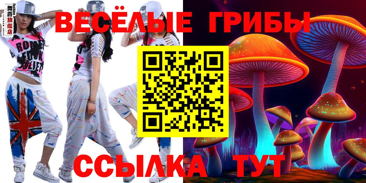 Псилоцибиновые грибы GOLDEN TEACHER  Галлюциногенные грибы Magic Shrooms  Вход с VPN  Химки 