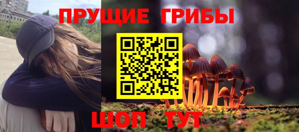 Псилоцибиновые грибы MAGIC MUSHROOMS Химки